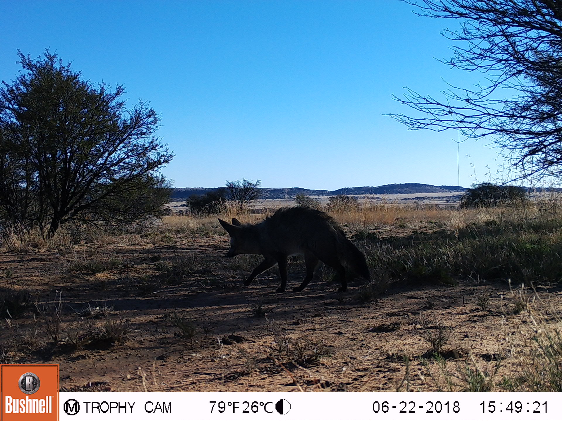 M2E177A1L234-0.0-0.0